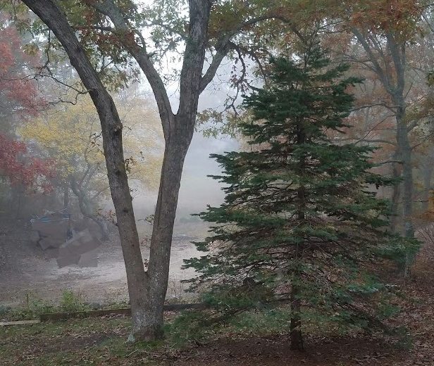 Act 3 of 3 -The Day the Fog Spoke and How the Fog Lives in ToneStream