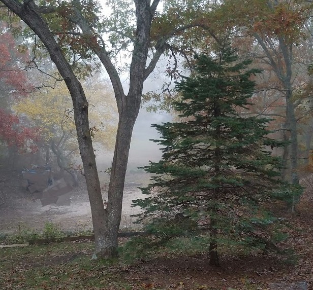 Act 3 of 3 -The Day the Fog Spoke and How the Fog Lives in ToneStream